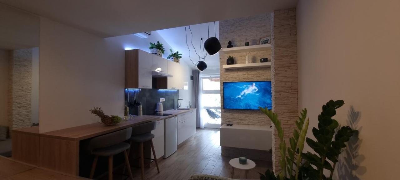 Studio Ayla Διαμέρισμα Ρόβινι Εξωτερικό φωτογραφία